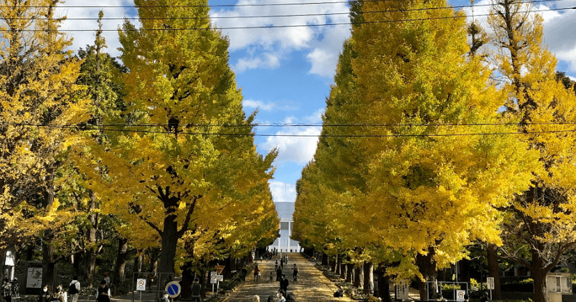 日吉・綱島エリアのゴルフ練習場（打ちっぱなし）一覧のカバー画像