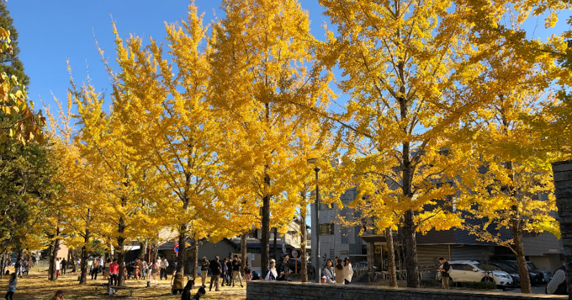 岐阜でおすすめのゴルフ練習場７選【打ちっぱなし】のカバー画像