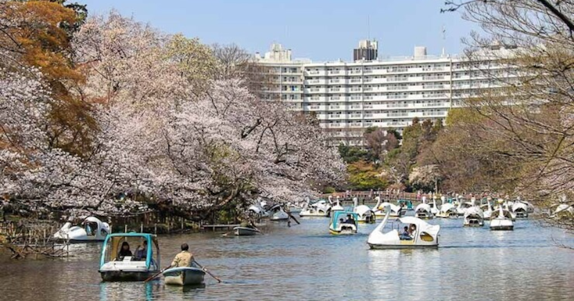 練馬区でおすすめのゴルフ練習場（打ちっぱなし）9選！のカバー画像