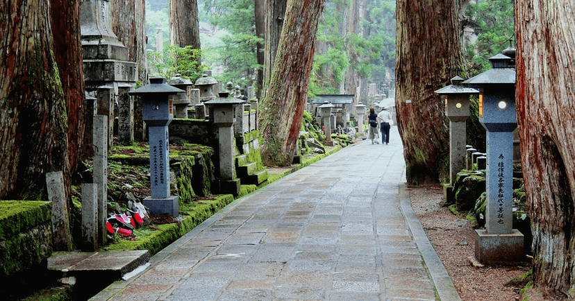 【初心者向け】和歌山県で初心者におすすめなゴルフ場10選！のカバー画像