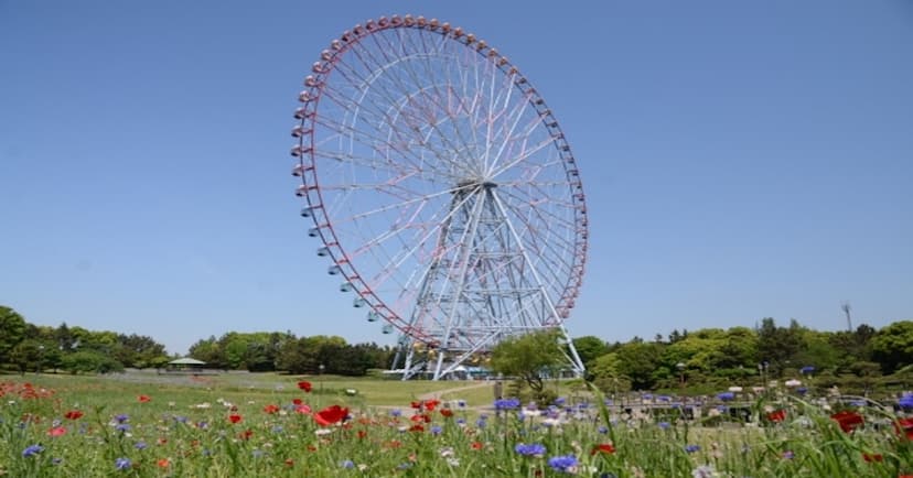 江戸川区でおすすめのゴルフ練習場５選【打ちっぱなし】のカバー画像