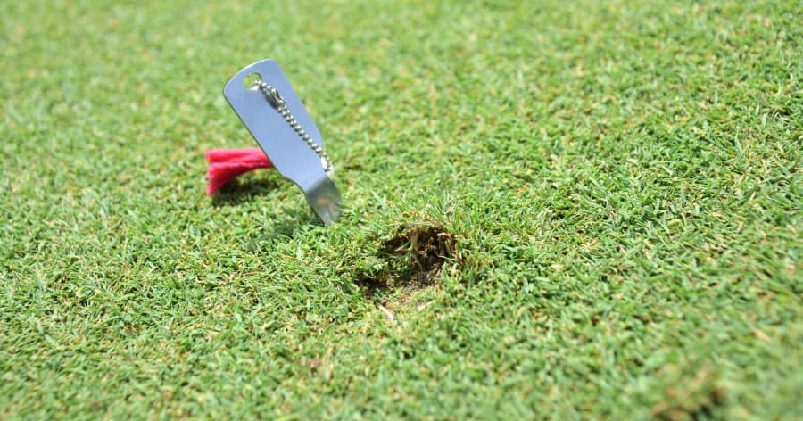 Cover Image for 【初心者向け】グリーンのディボット跡(ピッチマーク)の直し方と注意点