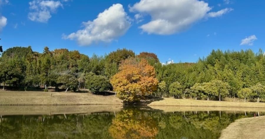 Cover Image for 【ゴルフ場レビュー】大厚木カントリークラブ 桜コース(厚木市)