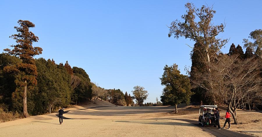 Cover Image for 【ゴルフ場レビュー】スカイウェイカントリークラブ(成田市)