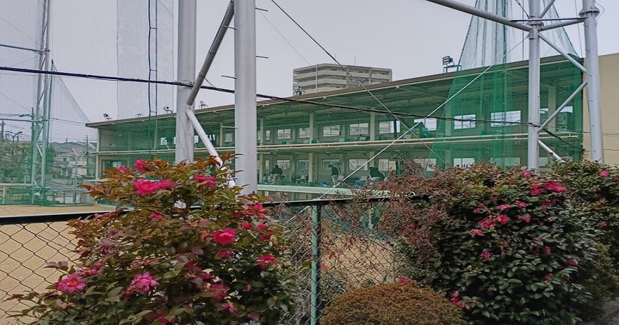 Cover Image for 【練習場レビュー】 南野ゴルフ練習場(多摩市)
