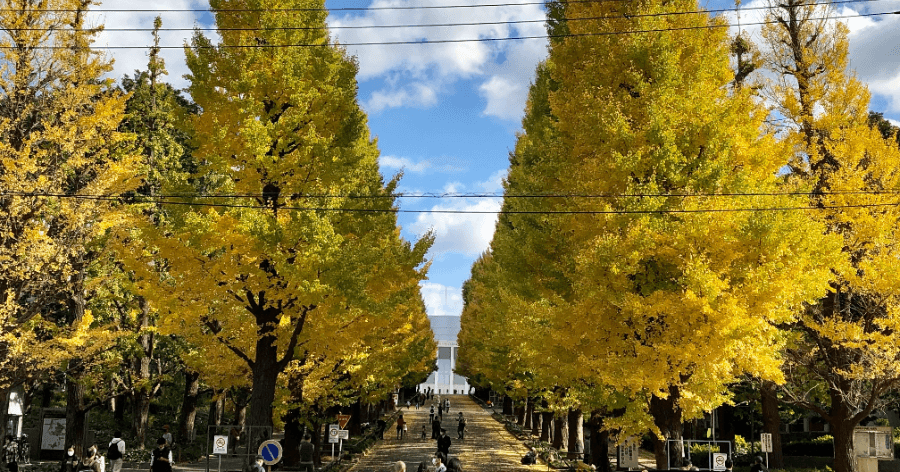 Cover Image for 日吉・綱島エリアのゴルフ練習場(打ちっぱなし)一覧