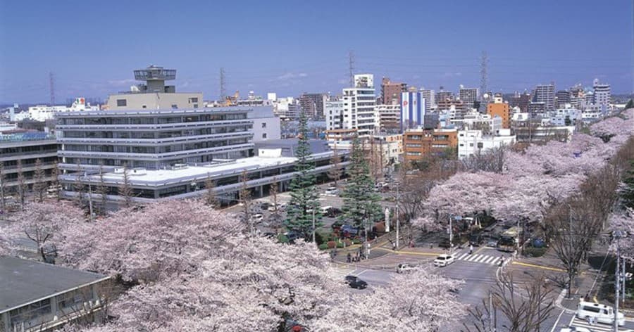 Cover Image for 【2024年版】相模原市のおすすめゴルフレッスン10選!初心者向けで安い!