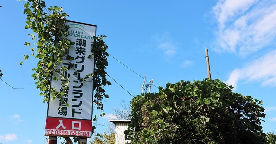 Cover Image for 【練習場レビュー】潮来グリーンランド(潮来市)